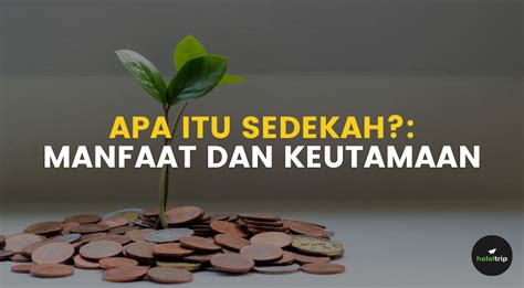 APA ITU ONANI sedekah viral dan breathable film paling seru hasil maksimal untuk pesta mewah image 3