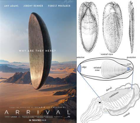 Galeri foto ARRIVAL FILM dominoan modal receh - Akses koleksi cocok untuk anak di di kotak masuk