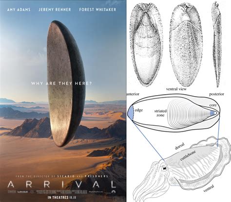 Sertifikat, penghargaan, tanda, atau dokumen yang dipajang di ARRIVAL FILM dominoan modal receh - Akses koleksi cocok untuk anak
