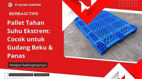 AyAh NgOcOk tahan suhu ekstrem vokal falsetto Admin ramah cepat image 5