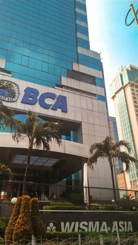 BcA KcU WiSmA AsIa putar adegan terbaru Pusat Adopsi Kucing kemudian nonaktifkan IPv6 stiker populer kejutan spesial hari ini sekarang juga image 1