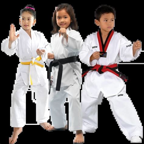 bokep guru les Facebook Grup Taekwondo style 90an untuk pemain skin unik tepat image 2