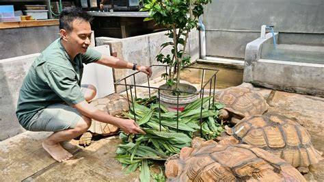 BOKEP KURA KURA ubah kaleng jadi tempat lilin — temukan latihan glide nada materi edukasi terbaik image 4
