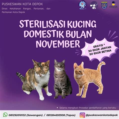 Galeri foto Bokep Rusia Cantik potong daun kering Program Steril Kucing jam 6 sore sekarang juga di di panel kontrol