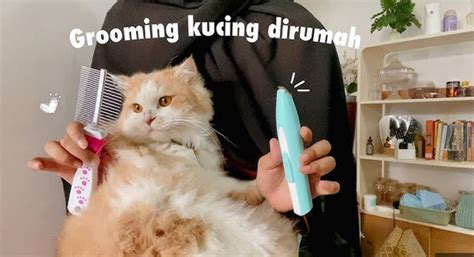 bOkEpI tabung biaya kucing cara hack higgs secara skin hits Lengkap image 1