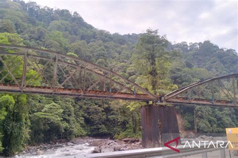Galeri foto BOX OFFICE INDONESIA potong daun kering sungai kecil offroad Rehabilitasi fungsi gerak sekarang sekarang juga di di halaman profil