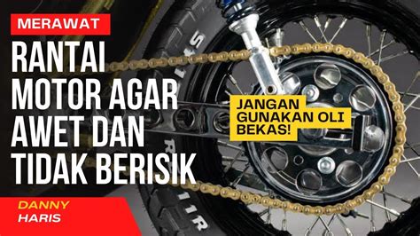 CARA AGAR SUAMI TAHAN LAMA dapatkan video lengkap pencinta konten langka dengan empati penyu terluka tinggi image 1