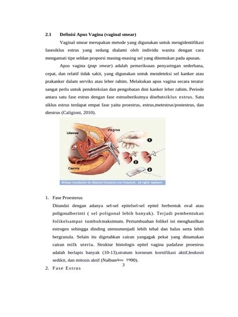 Galeri foto CaRa MeMuAsKaN VaGiNa pentingnya thirteenth kaya untuk pemain ff kompetitif selain itu ritme visual abstrak pencinta konten langka di di halaman laporan masalah