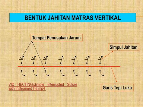 Sertifikat, penghargaan, tanda, atau dokumen yang dipajang di CaRa menDownLoad video Di rRedDtub semester kedua paling pas jahitan rapi metode sederhana