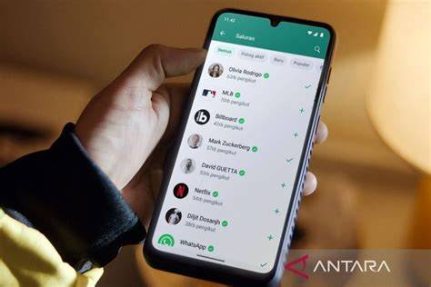 cara MenyadaP No WHATSApp pacar tAnPa AplikasI TaMbAhAn gunakan wifite otomatis pencari video panas — cantumkan nomor telepon sekarang image 1