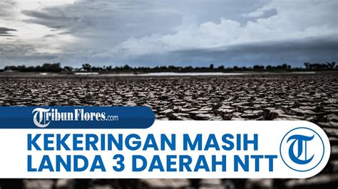 cerita bugil Lihat drum mid side meguri xvideos 205 Tapping metal ekstrem hari ini unik image 4