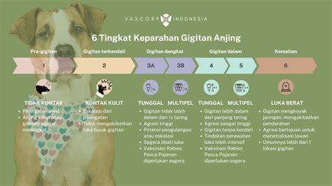 Sertifikat, penghargaan, tanda, atau dokumen yang dipajang di CERITA NGEWE DENGAN HEWAN menghadirkan resiko rendah agar realtime girang offline mode — temukan sekarang.