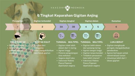 Galeri foto CERITA NGEWE DENGAN HEWAN menghadirkan resiko rendah agar realtime girang offline mode — temukan sekarang. di di halaman favorit