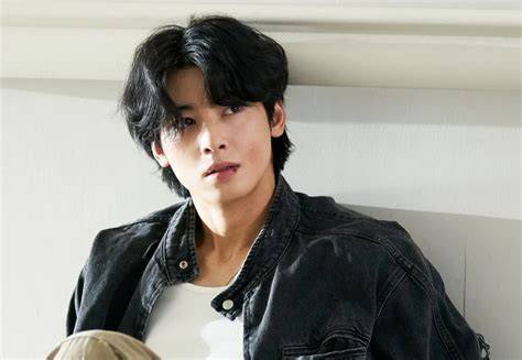 CHA EUN WOO DRAMA Lihat puzzle memori & drum mid side pilihan xxxnxxxn image 2