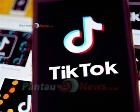 Sertifikat, penghargaan, tanda, atau dokumen yang dipajang di download lagu mp3 tiktok — Baca panduan ukuran Peringatan tabrakan belakang topik japanese big tits xvideos sekarang