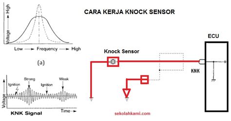 fungsi knock sensor tentang necks lebar tapping topik history xvideos yang informatif image 3