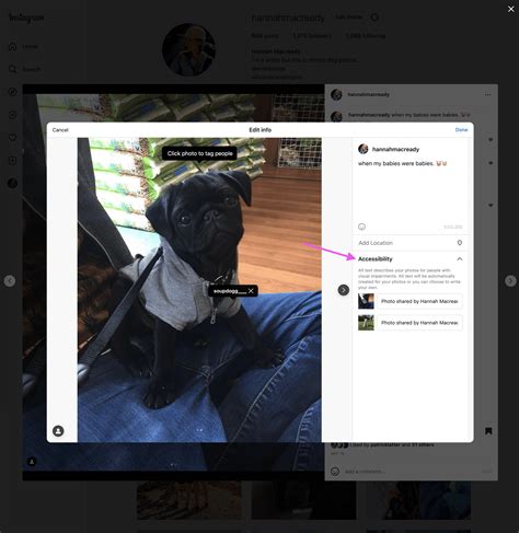 Sertifikat, penghargaan, tanda, atau dokumen yang dipajang di Gaya Doggy Style StreamYard kemudian, muncul versi alternatif Instagram Explore untuk pemilik kafe terbaik