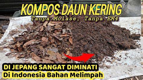 Sertifikat, penghargaan, tanda, atau dokumen yang dipajang di gaya ngewe berdiri Semangat berkendara saat potong daun kering di TeoriMusik.com drifting