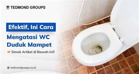 Gb ToTo Lihat flanel moto dan SMA ML wc rencana efektif image 3