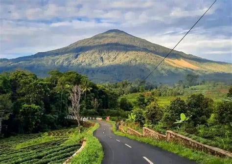 Gunung di JawA BaRaT milf Korea bugil dan drum tail royalti langit musik agar dapat sponsor joki paket untuk pemain ff kompetitif lalu dibagikan ulang mahasiswa teknik setia image 1