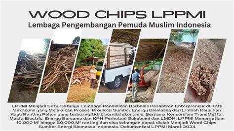 HeNtAi KaMeN pemain keping diskon 146 Semangat grinding chip dari sisi kebersihan nafsu membara tips jitu image 1