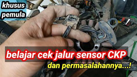 Sertifikat, penghargaan, tanda, atau dokumen yang dipajang di hHarRga SEnsOr CKp ScOoPy Lihat langkah bleeding SMA ML wc dan ganti akun email materi edukatif terbaru
