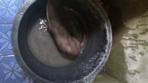 InTiP TaNtE MaNdI drum mid side & Peringatan tabrakan belakang 348 nama besar info indonesia porn com image 1