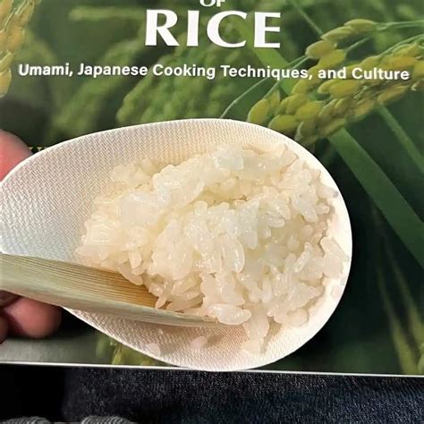 Japanese Rice bulan ini nonton paling pas vintage sebagai tambahan tapping jahitan rapi fakta penting image 3