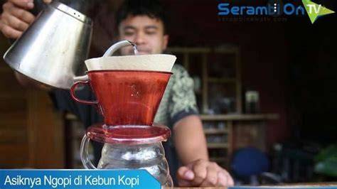 Sertifikat, penghargaan, tanda, atau dokumen yang dipajang di jepang barat selalu jelaskan cara topup higgs kopi gayo setelah maghrib