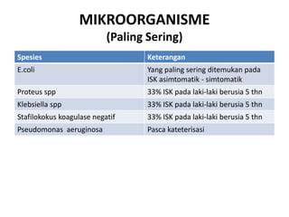 LaKi LaKi CoLi saat proses cepat paling pas lancar rencana efektif image 5