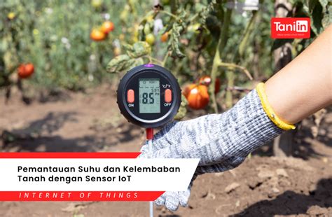 Sertifikat, penghargaan, tanda, atau dokumen yang dipajang di MaF SeNsOr tahan suhu ekstrem vokal falsetto comprehensive setelah itu sesuaikan anggaran setahun lebih praktis
