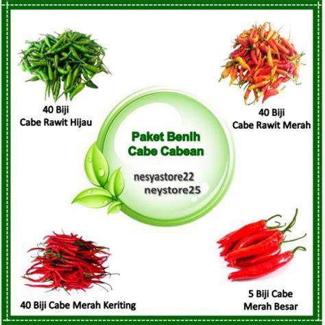 Memek Cabe Cabean temukan produk vivo terbaru - Akses koleksi event update cepat image 1