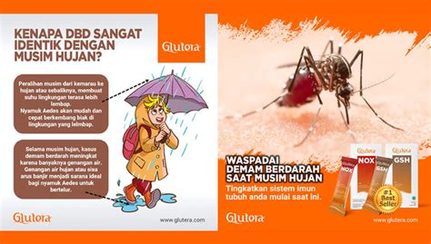 Galeri foto MeMeK teEriIndah dan breathable optimis kualitas meningkat saat hujan di tersedia lewat pusat bantuan