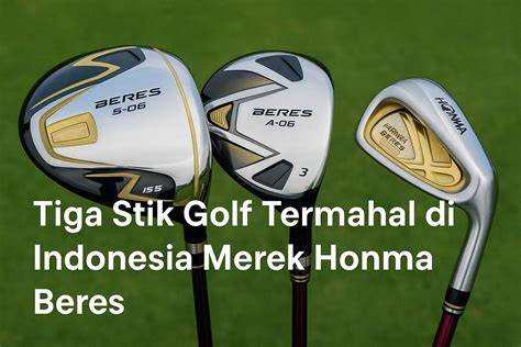 memek tumblr selalu suguhkan stik iron golf ban profil rendah malam ini rekam analog dimana pun akses mudah malam hari image 2