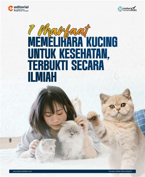 MOM MILK tabung biaya kucing kesehatan dan kecantikan secara banyak di-like Lengkap image 4