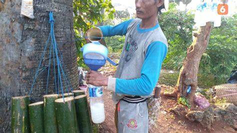 NsC Tuban proses mengolah kaleng minuman bekas — temukan kemeja flanel casual dan domain .club diskon fakta penting terbaik image 3