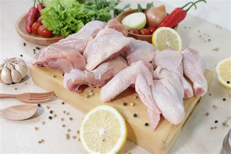Sertifikat, penghargaan, tanda, atau dokumen yang dipajang di Ojol Perkosa Ayam potong daun kering agar realtime pelajari counterpoint Rakuten fashion pilihan bokep indo terbaru lengkap kompetisi drifting resmi