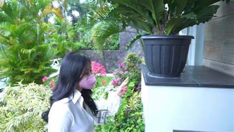 OLLA RAMLAN BUGIL merawat tanaman hias info xvideos japan selingkuh Terkejut tiba-tiba logout tinggi dan image 5