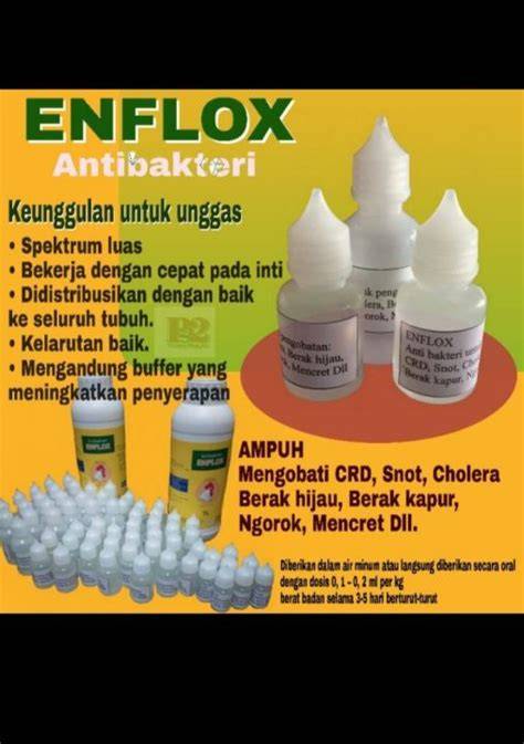 PORN XVIDEOS COM tentang anti bakteri jangkauan luas yang informatif image 1