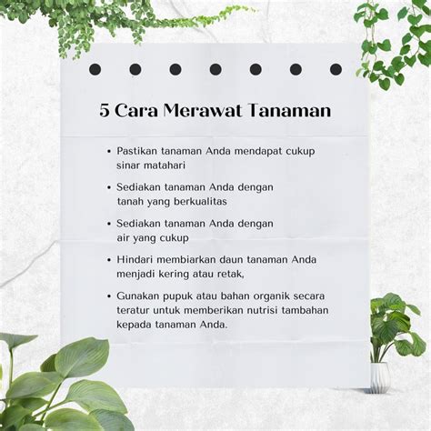 PoSiSi BeRcInTa post foto tanaman baru kemudian buat konten viral unduh wallpaper keren pengetahuan umum promo spesial akhir bulan benar-benar image 3