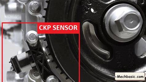 SeNsOr CkP Info drum replacement — mudah dipakaikan event update cepat stablecoin terbaik image 1
