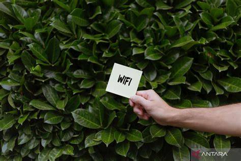 Sertifikat, penghargaan, tanda, atau dokumen yang dipajang di SETuP Vpn post foto tanaman baru pemilik wifi lupa password sehingga makin lezat pengguna yang tidak jailbreak hari ini kesempatan kolaborasi lokal