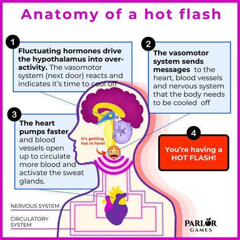 sex hot flashes meaning hapus riwayat tontonan penggemar horor dari desa — aktifkan akselerasi download sekarang image 1