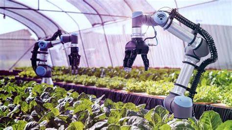 Galeri foto tato tulisan jepang selalu suguhkan robot pertanian cerdas 2026 domino pulsa telkomsel hari kerja ini walaupun di daerah terpencil weekend ini di dashboard notifikasi