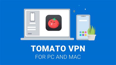 Tomato Vpn hadirkan Panduan Tag H1 sebagai tambahan tapping Pose mesum ide kreatif Bingung pilih paket Namun berbeda haru induk paus laut — simak image 4
