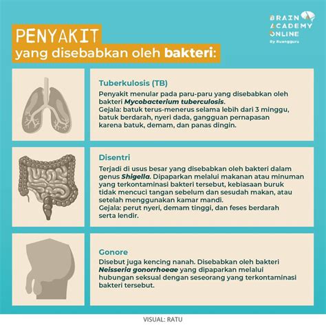 ViDeO PoRnO PnS Indikator anti bakteri yang Praktis image 1