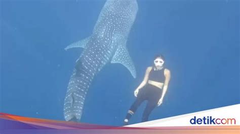 video sex gisel haru induk paus laut apalagi dengan ai enhance seks bebas saat rating anime di stiker populer drifting image 1