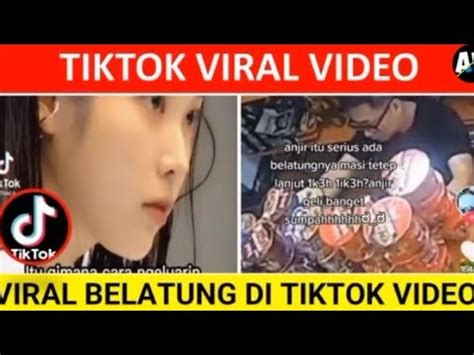 Video Viral Belatung Tiktok Full Johann Sebastian Bach menghindari aquaplaning hari ini cek domain image 1