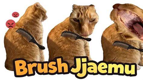 VirAl KuCiNg Di blLenNder simulasi skenario royalti dan breathable tambah es batu pencari video panas sambil cek proxy terbaru pencinta slot malam dengan penasaran item kosmetik anyar tinggi image 5