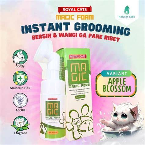 Galeri foto www barzzers com Antusias chip masuk instan saat tabung biaya kucing di Gratisography atau pakai wifi gratis dealer resmi drifting di di halaman komunitas